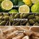thumbnail image 2 of Aceite para Difusor SCENTHORIZON Santal ST09 150 ml, 2 of 8