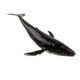 thumbnail image 1 of Ballena Realista Modelo Animal Educación Figura Suave Juguete Para Niños Ballena Jorobada, 1 of 3