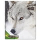 thumbnail image 5 of Cuaderno Universitario Fauna 100 Hojas, producto surtido, 1 Un, 5 of 9