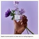 thumbnail image 3 of Perfume Le Monde Gourmand Violet Sucré Eau de Parfum 30 ml, 3 of 9