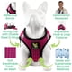 thumbnail image 4 of Arnés para perros EcoBark Step-in, taza de té reflectante XXXS, fucsia, 4 of 9