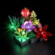 thumbnail image 1 of Kit Luces LED Briksmax para LEGO 10309 Suculentas Multicolor, 1 of 3