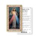 thumbnail image 1 of Paquete de 100 tarjetas religiosas doradas del Rosario de la Divina Misericordia, 1 of 1