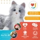 thumbnail image 3 of Mascota de compañía interactiva JOY FOR ALL Silver Cat, 3 of 7