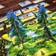 thumbnail image 4 of Juego de mesa Canopy Evergreen de Weird City Games: estrategia, 4 of 9
