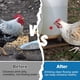 thumbnail image 3 of Paquete de 20 bebederos horizontales para pollos, automáticos, de montaje lateral, para pollos, codornices y patos., 3 of 7