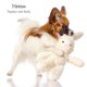thumbnail image 2 of Juguete para perro Pet Passion Conejo de algodón con relleno de fibra de coco, 2 of 4