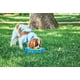 thumbnail image 2 of Cuenco para perros Petmate Aspen Pet Stay-a-Round para perros de 27 kg, 2 of 4