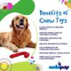 thumbnail image 4 of Masticable SodaPup, bastón de caramelo de nailon duradero para perros, 4 of 6