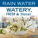 thumbnail image 2 of Jabón para platos Mrs. Meyer's Clean Day Rain Water 473 ml, 2 of 7