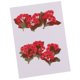 thumbnail image 5 of Flor seca natural real de 10 pedazos de la flor roja presionada para la fabricación de la joyería, 5 of 5