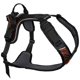 thumbnail image 4 of Arnés para perro Non‑stop dogwear XS negro/naranja, 4 of 9