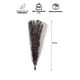 thumbnail image 2 of Rama Decorativa Natural Burdeo, 2 of 3