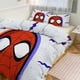 thumbnail image 1 of Juego de ropa de cama Spidean para niños, hombres y mujeres, tamaño matrimonial, edredón, funda de edredón y fundas de almohada., 1 of 3