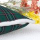 thumbnail image 4 of REGALWOVEN 2 Paquete de Fundas de Cojín a Cuadros, Fundas de Cojín Decorativas a Cuadros de Doble Cara Verde 18" x 18", 4 of 6