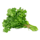 thumbnail image 2 of Semillas Cilantro 5 Gr - Anasac - Jardín, 2 of 2