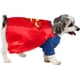 thumbnail image 3 of Disfraz de mascota Rubíes DC Comics Superman para perros o gatos, 3 of 8
