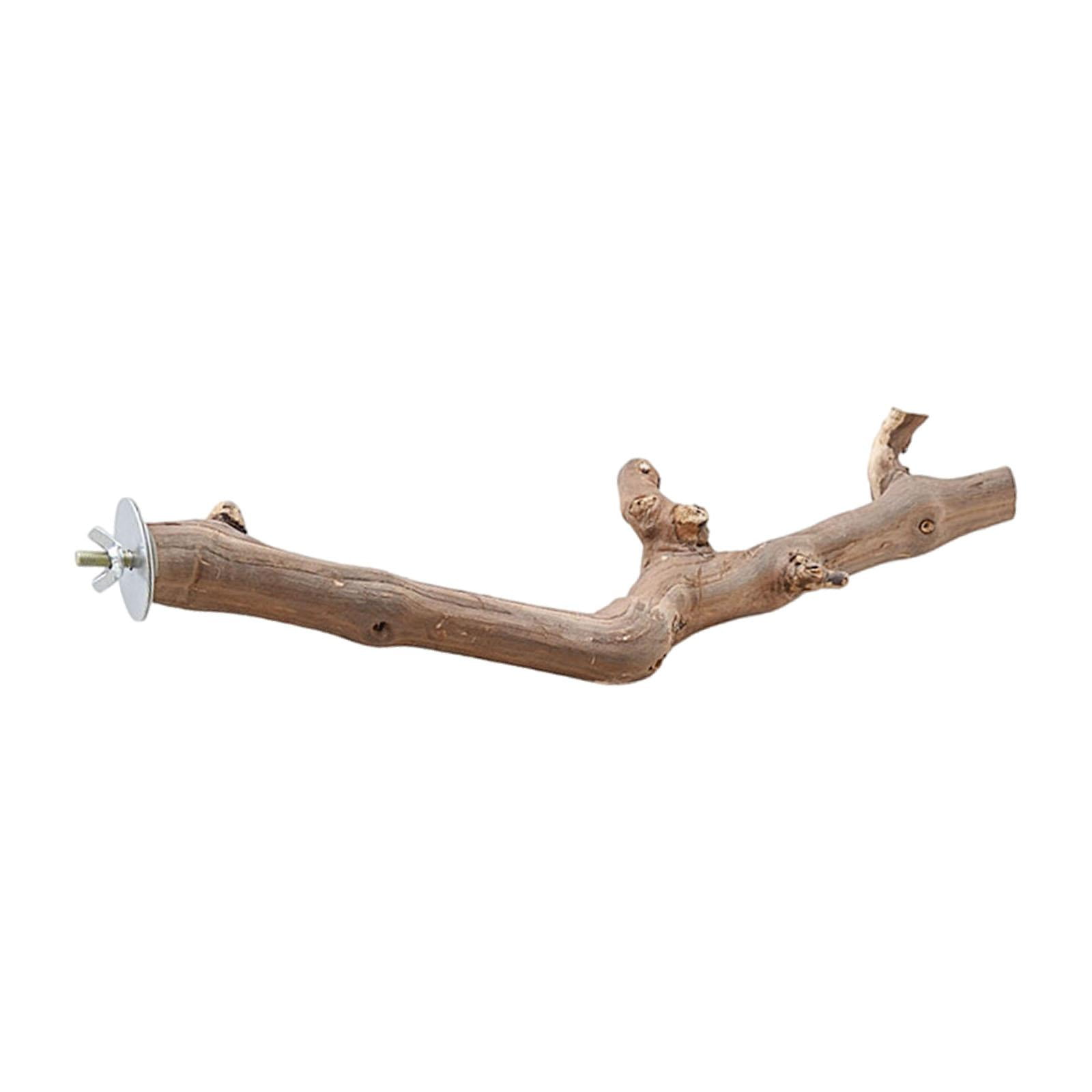 Soporte De Madera Para Pájaros Percha De Juguete Loro Lovebird Bluebirds Colibrí