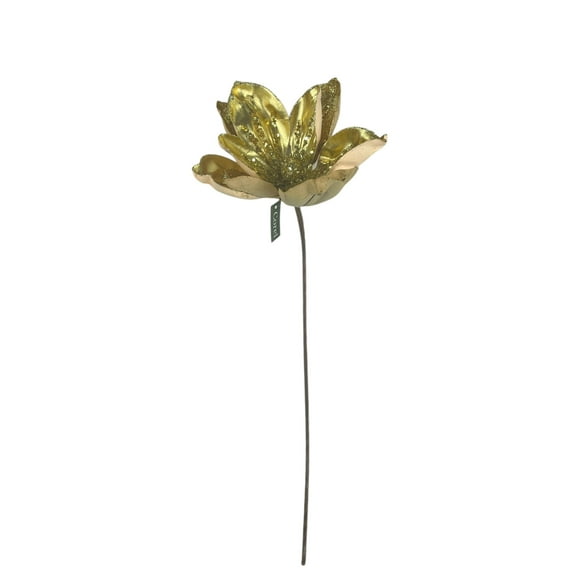 Magnolia Dorada 23cm