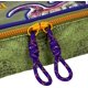 thumbnail image 3 of Estuche Con Fascinante Diseño De Dinosaurio De T-rex World, 3 of 5
