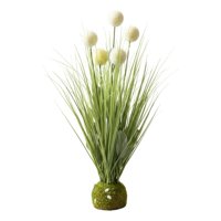 Genérico - Adorno Floral Artificial Esfera Silvestre Musgo Hogar Jhn