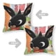 thumbnail image 2 of Bing Fundas de almohada de terciopelo con tema, regalos de funda de almohada, decoración para el hogar, cojín de lanzar, regalo de cumpleaños para fans y parejas.30*30cm., 2 of 6