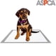 thumbnail image 5 of Almohadillas de entrenamiento ASPCA AS62930 para perros, paquete de 100, color gris, 5 of 6