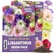 thumbnail image 1 of Semillas Lisianthus EquSym 2000 Pack Colores Mixtos Perennes, 1 of 3