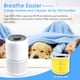 thumbnail image 4 of Filtros de repuesto Flintar Core 300 Pet Allergy, paquete de 2, 4 of 5