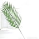 thumbnail image 3 of hojas artificiales de palmera areca, hojas de palmera tropical, hojas de monstera artificiales para arreglos florales de Domingo de Ramos, luau hawaiano, playa, boda, fiesta., 3 of 6