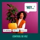 thumbnail image 2 of Wiz Globo Pequeño Colores P45 Wi-fi E27  Alexa Matter, 2 of 3