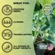 thumbnail image 3 of Spray foliar y baño de raíces Microbe Life Hydroponics 9,5 L, 3 of 8