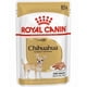 thumbnail image 1 of Royal Canin Chihuahua Adulto Pouch 85 Gr, 1 of 1