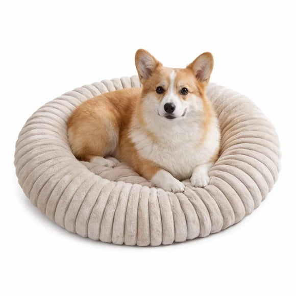 Cama Para Mascotas Cojín Acolchado Y Antideslizante 20cmx80cm