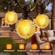 thumbnail image 3 of Bombillas de repuesto GOOTHY G40, 5 W, incandescentes, 120 V, E12, paquete de 25, 3 of 9