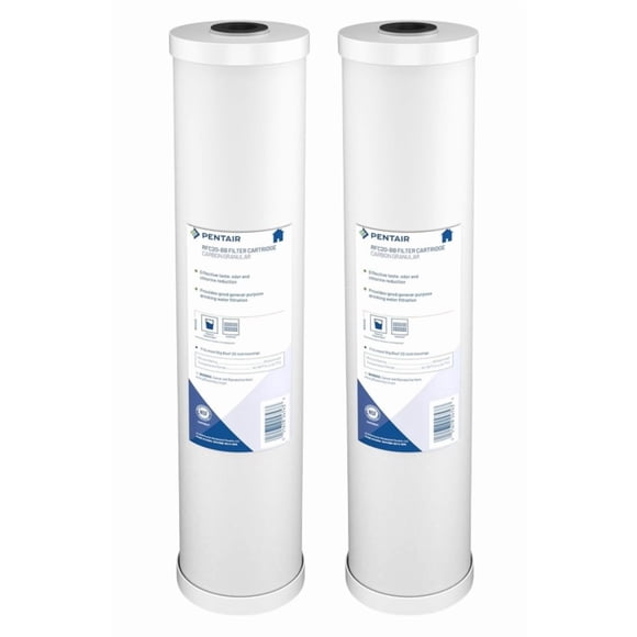Filtro de agua Pentair Pentek RFC-20BB Big Blue Carbon