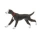 thumbnail image 5 of 1:64 Escala Modelo Pintado A Mano Mini Perro Peque?o Modelo Animal Adornos Style9, 5 of 5