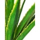 thumbnail image 2 of Agave Verde-amarillo 135cm Súper Realista, 2 of 3