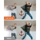 thumbnail image 5 of Cámara de seguridad SensForge 2.5K Pan-Tilt 360° WiFi 2-Day Cloud, 5 of 9
