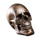 thumbnail image 2 of Escultura De Estatuilla De Calavera De Estatua De Cabeza De Esqueleto Para Oficina De Accesorios De Fotografía De Escritorio, 2 of 5