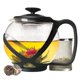 thumbnail image 1 of Tetera Primula Tempo Glass 1.2 L con 2 tés en flor, color negro, 1 of 7