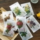 thumbnail image 4 of 40pcs/pack Vintage Flower Butterfly Decorative PET Stickers for Plant Handbook, Scrapbooking, Journal Planner - Add a Touch of Beauty to Your Projects, 4 of 5