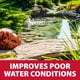 thumbnail image 5 of Clarificador de agua Pond Logic RapidClear tratamiento de 3,78 L, 5 of 9