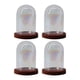 thumbnail image 2 of 4 Piezas De Vidrio Cloche Dome Clear Holder Tabletop Ornament Mini Bell Jar Dome Dark Brown, 2 of 3