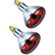 thumbnail image 3 of Heat Lamp BULBMASTER 250 W R40, lámparas de calor rojas para exteriores, paquete de 2, 3 of 7