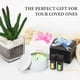 thumbnail image 5 of Kit Completo Para Hacer Velas Con Placa Calefactora Para Adultos, 5 of 7