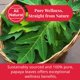 thumbnail image 4 of Té Akshit Hojas de Papaya 75g Natural Sin Gluten, 4 of 9