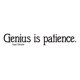 thumbnail image 1 of Decomural Genius Is Patience Isaac Newton WS-44091, 1 of 2