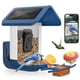 thumbnail image 1 of Comedero para pájaros con cámara, cámara inteligente alimentada por energía solar, WiFi 2K, 1 of 7