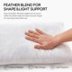 thumbnail image 2 of Almohada Swandream 30 × 61 cm – Inserto lumbar de plumas, 2 of 8